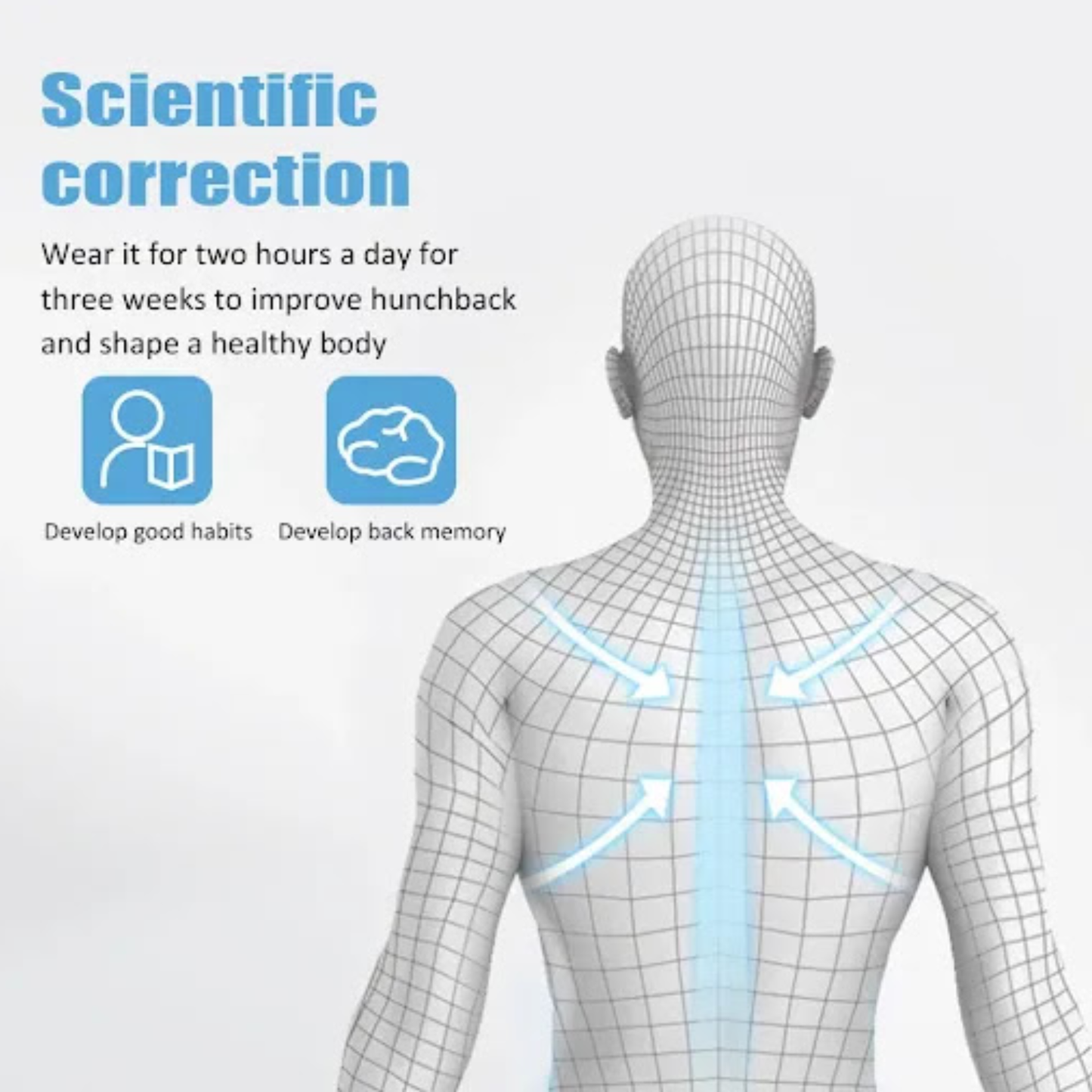 Promotional graphic showing a wireframe human back with light blue arrows indicating posture correction, alongside text reading 'Scientific correction' and two blue icons with labels.